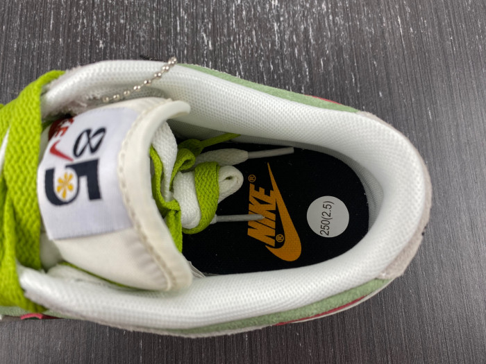 nike dunk low ndl050302