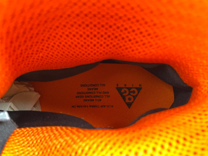 nike acg air terra antarktik