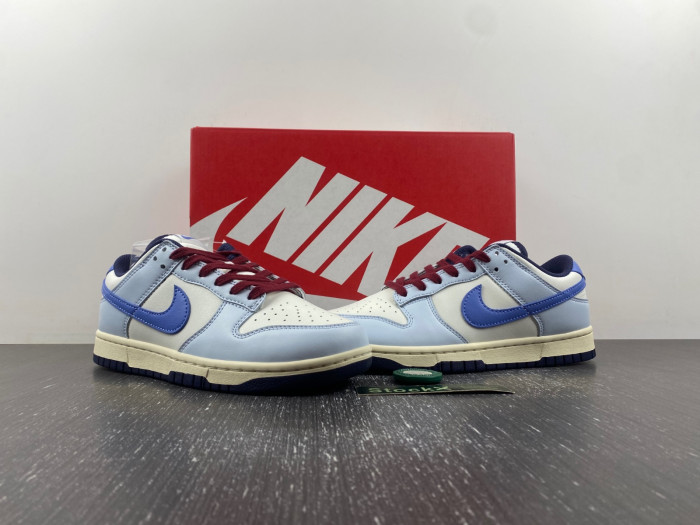 nike dunk low ndl01171