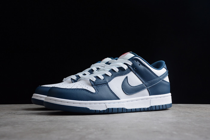 nike dunk low valerian blue dd1391-400