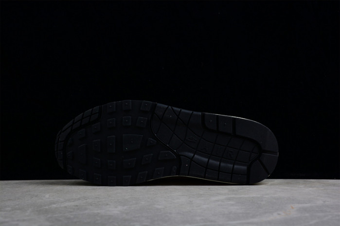 nike air max 1 "treeline" dr9773-300