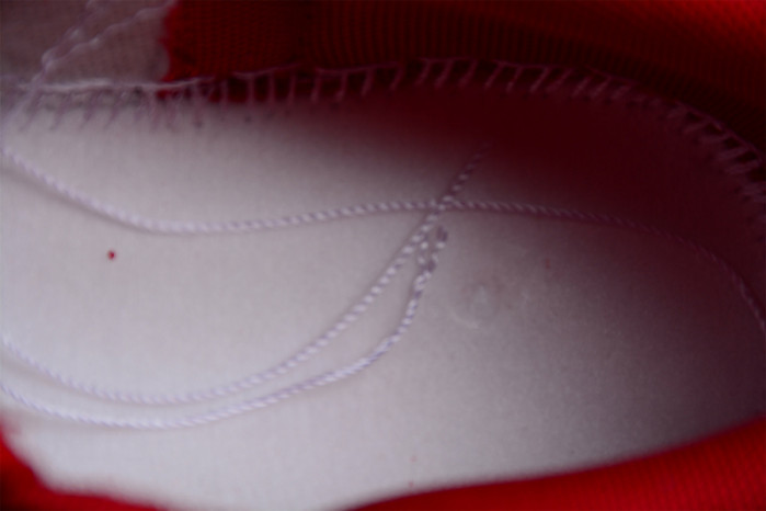 nike dunk low “gym red” dd1391-602